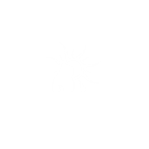 Sol i Pedra